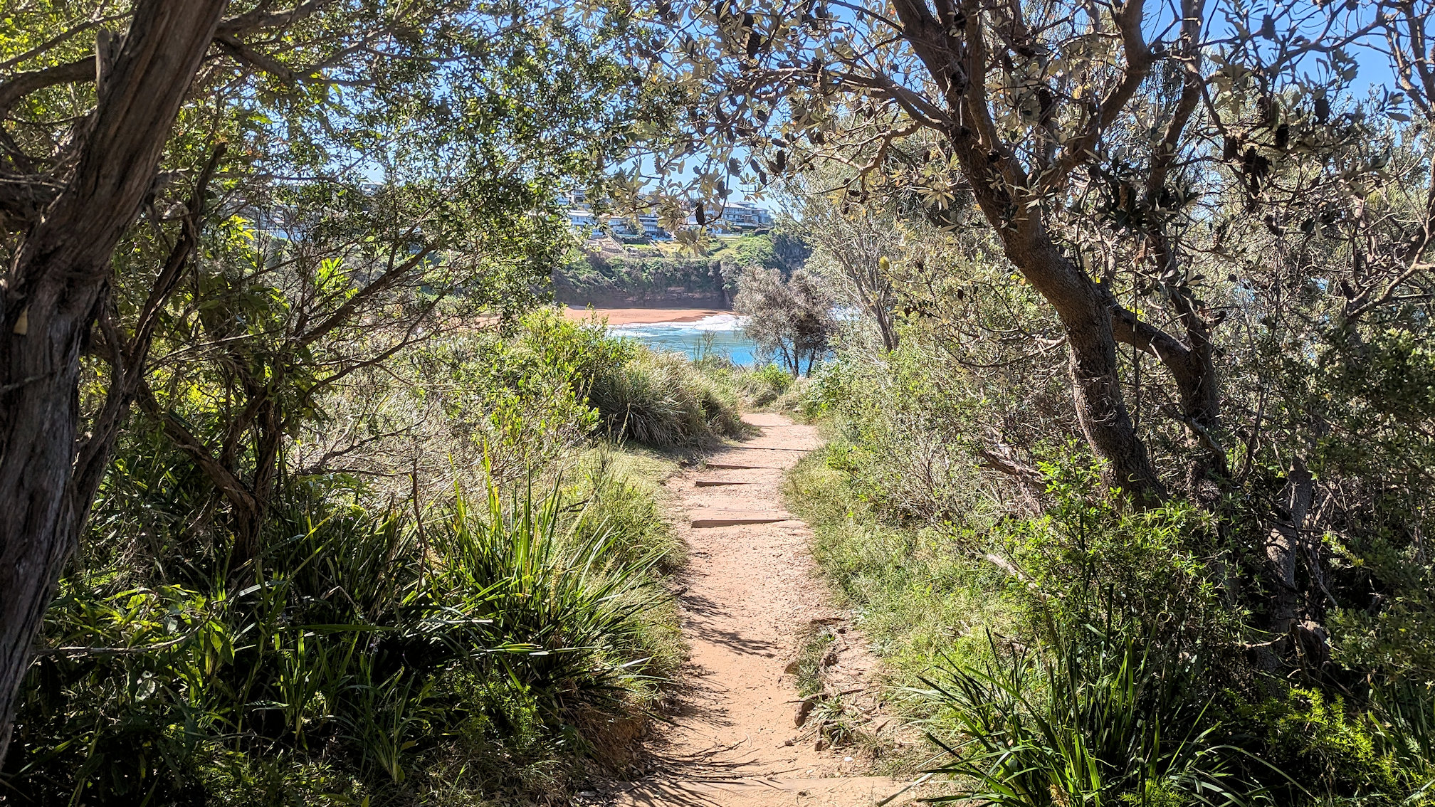 mona_vale track (5)